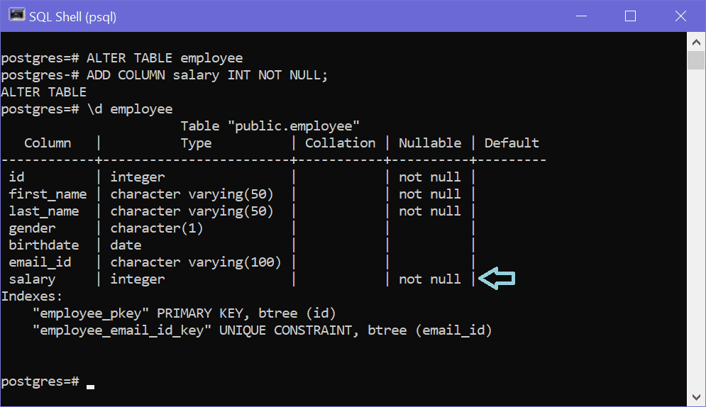 Add Columns To A Table In PostgreSQL