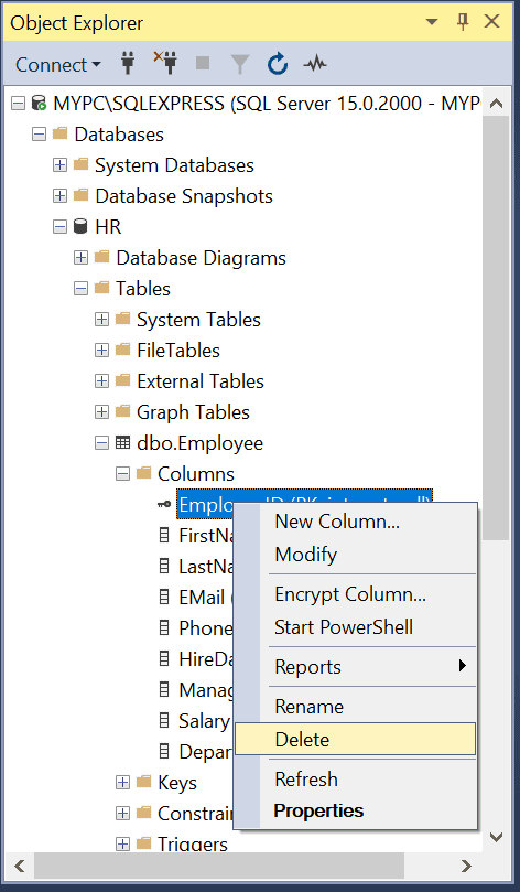 Modify Delete Primary Key In SQL Server