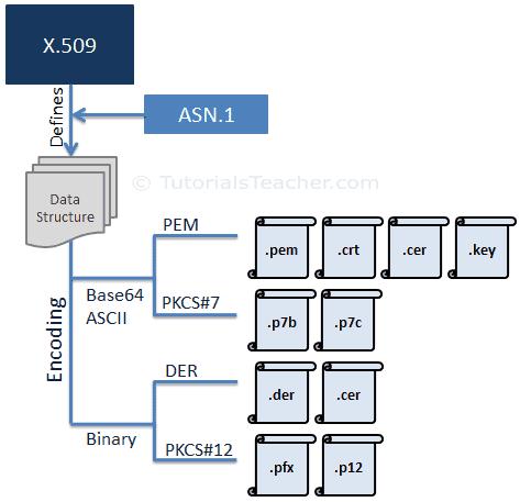 SSL Certificate Format