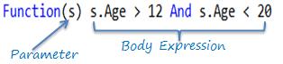 Lambda Expression Structure in VB.Net