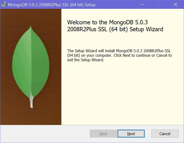 MongoDB Installation Wizard