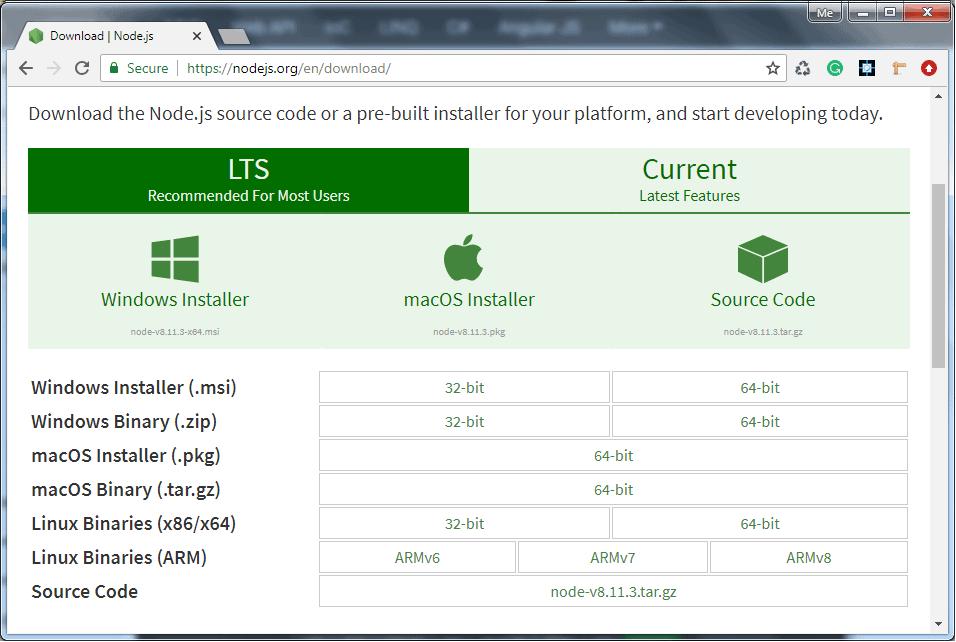 Node Environment Setup