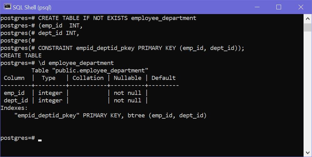 Primary Key Constraint