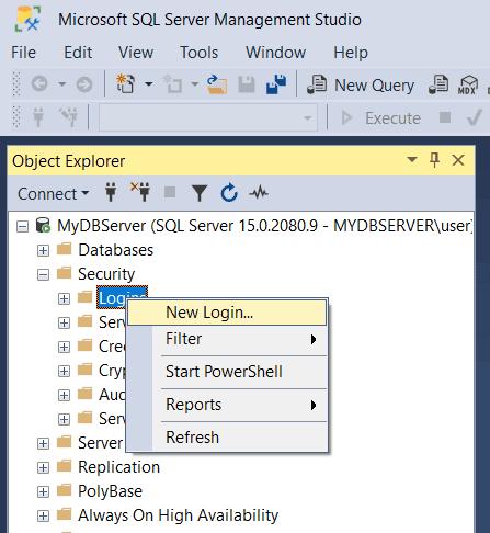 SQL Server Authentication